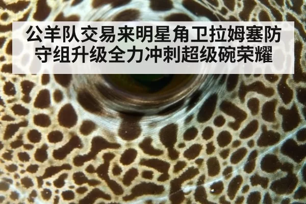 公羊队交易来明星角卫拉姆塞防守组升级全力冲刺超级碗荣耀